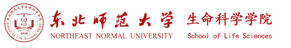 mksport体育在线